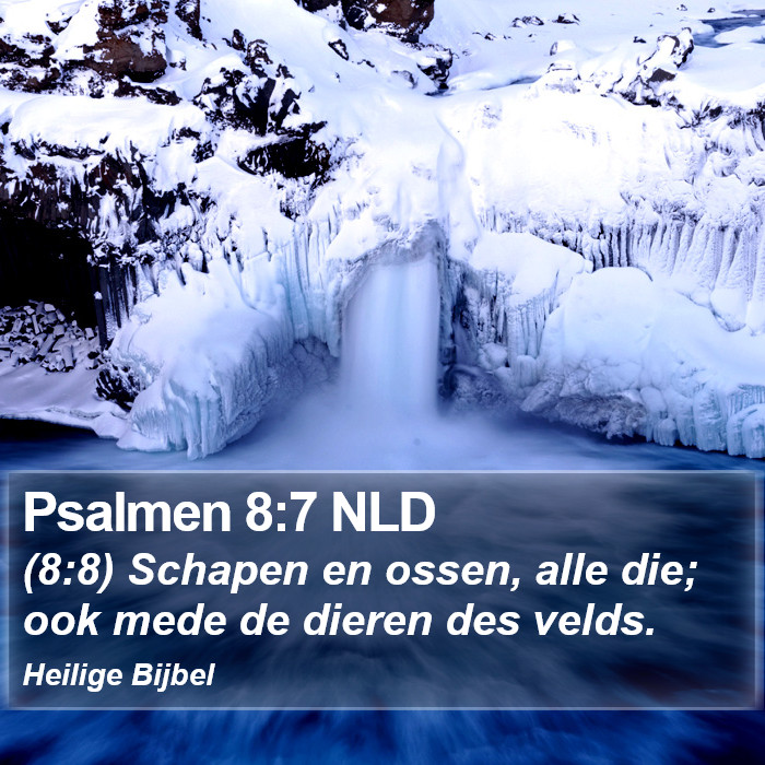 Psalmen 8:7 NLD Bible Study