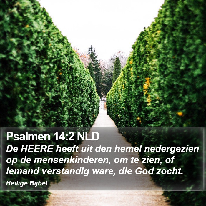 Psalmen 14:2 NLD Bible Study