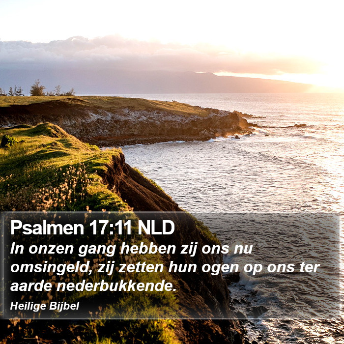 Psalmen 17:11 NLD Bible Study