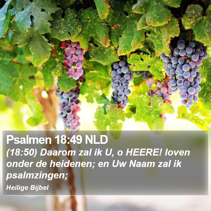 Psalmen 18:49 NLD Bible Study