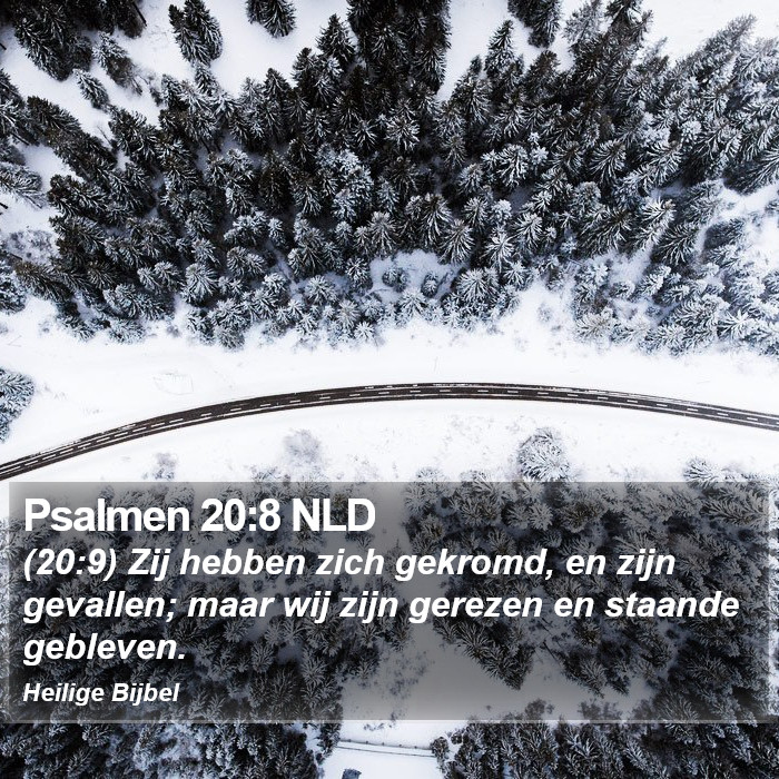 Psalmen 20:8 NLD Bible Study