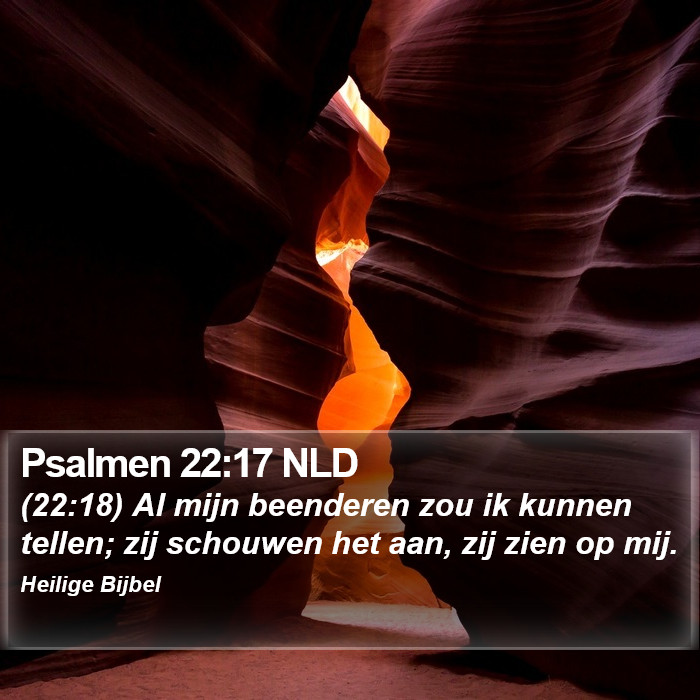 Psalmen 22:17 NLD Bible Study