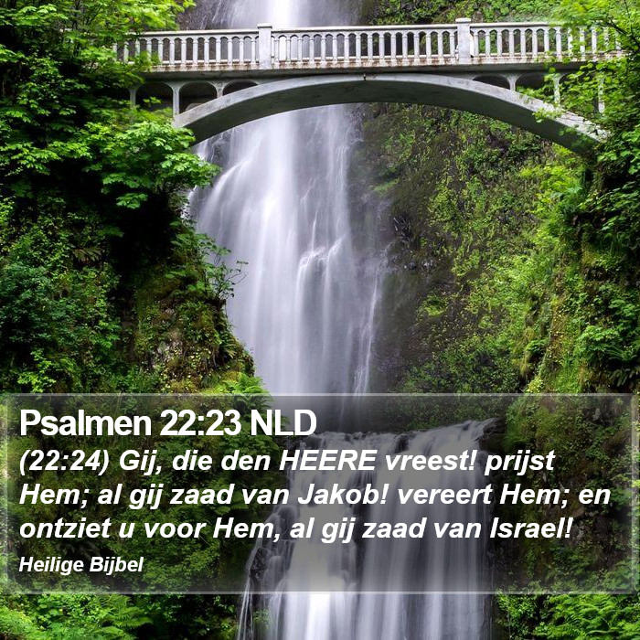 Psalmen 22:23 NLD Bible Study
