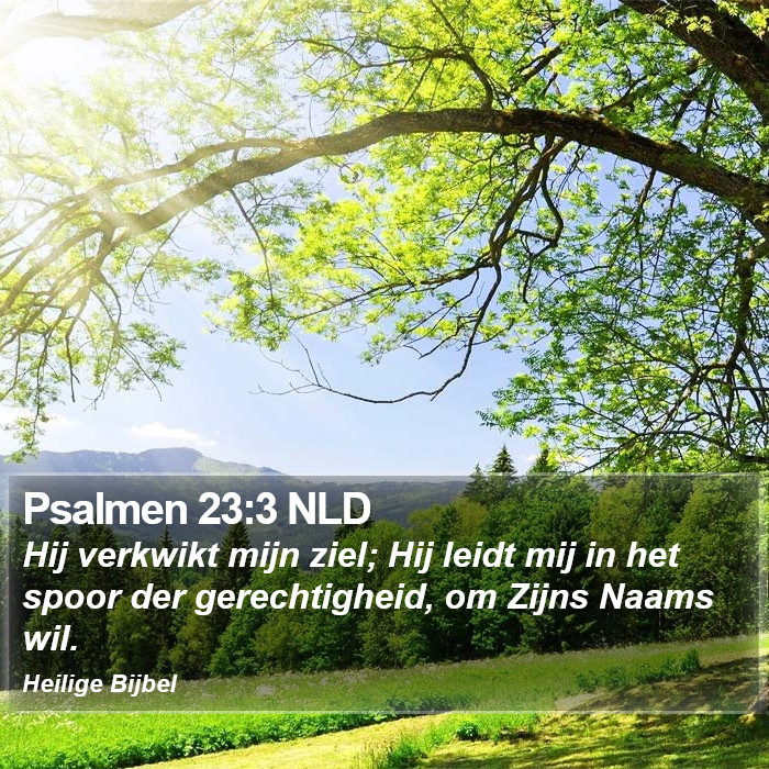 Psalmen 23:3 NLD Bible Study