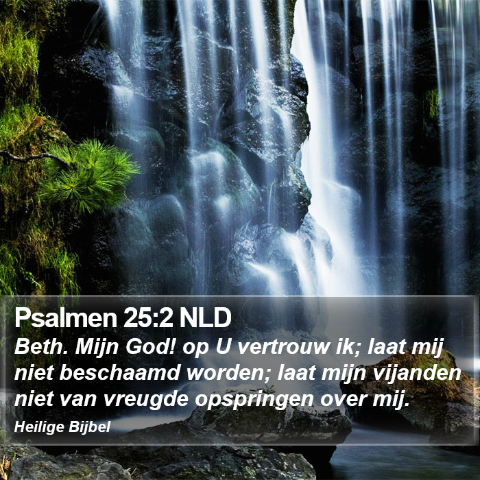 Psalmen 25:2 NLD Bible Study