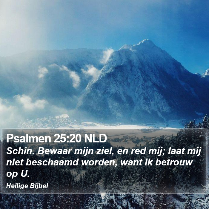 Psalmen 25:20 NLD Bible Study