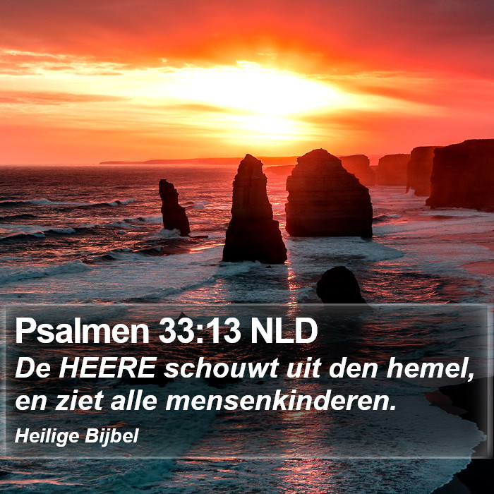 Psalmen 33:13 NLD Bible Study