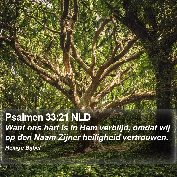 Psalmen 33:21 NLD Bible Study