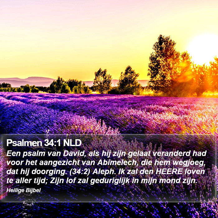 Psalmen 34:1 NLD Bible Study