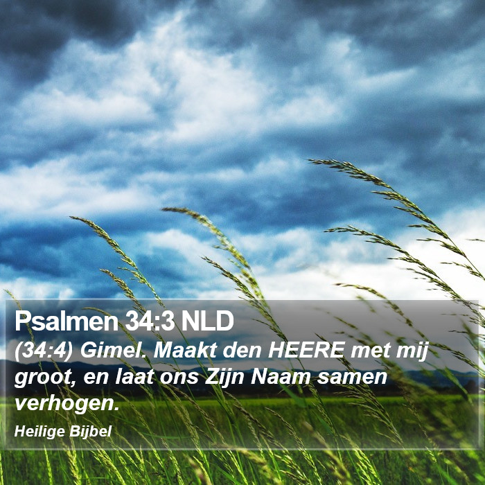 Psalmen 34:3 NLD Bible Study