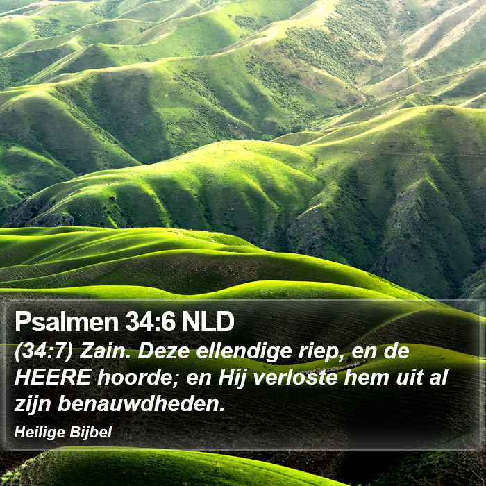 Psalmen 34:6 NLD Bible Study