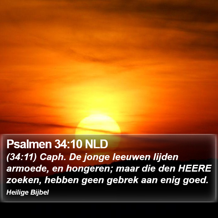 Psalmen 34:10 NLD Bible Study