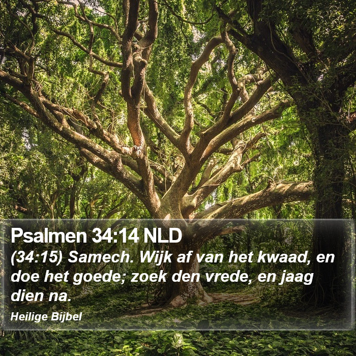 Psalmen 34:14 NLD Bible Study