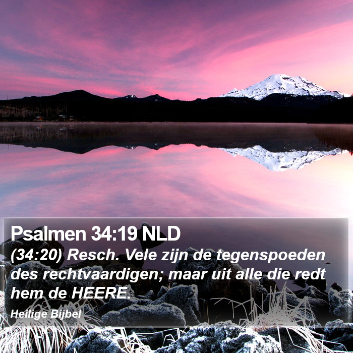 Psalmen 34:19 NLD Bible Study