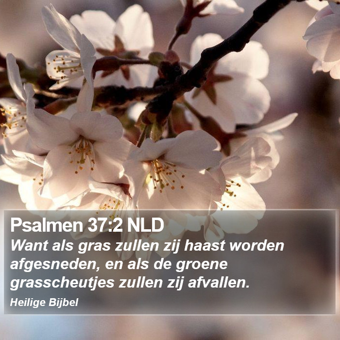 Psalmen 37:2 NLD Bible Study