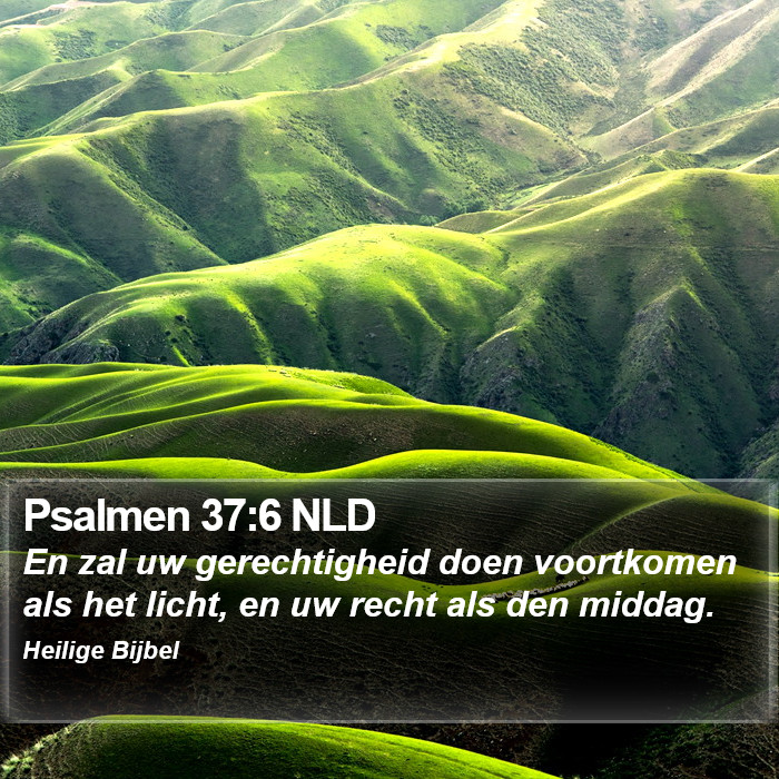 Psalmen 37:6 NLD Bible Study