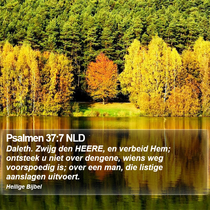 Psalmen 37:7 NLD Bible Study