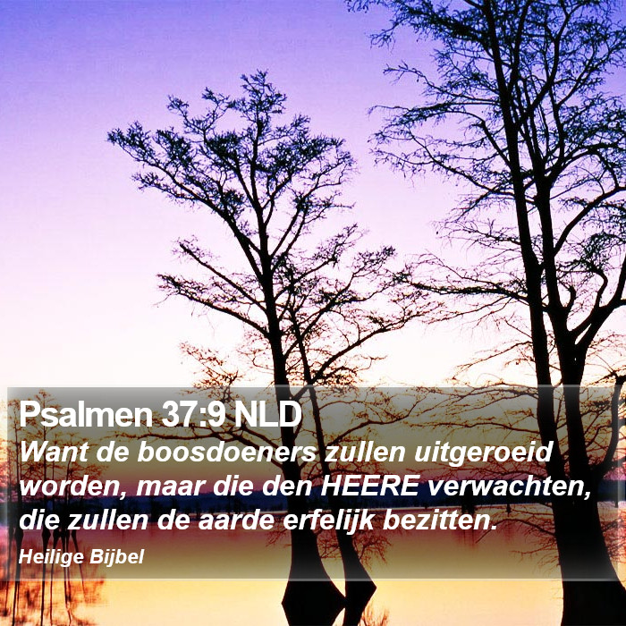 Psalmen 37:9 NLD Bible Study