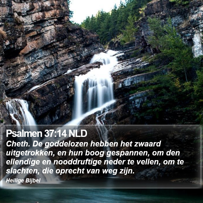 Psalmen 37:14 NLD Bible Study