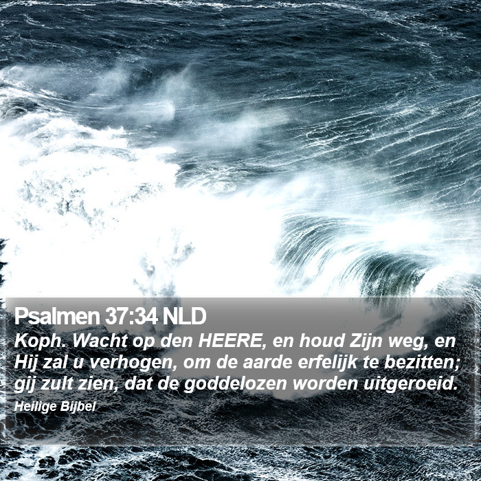 Psalmen 37:34 NLD Bible Study