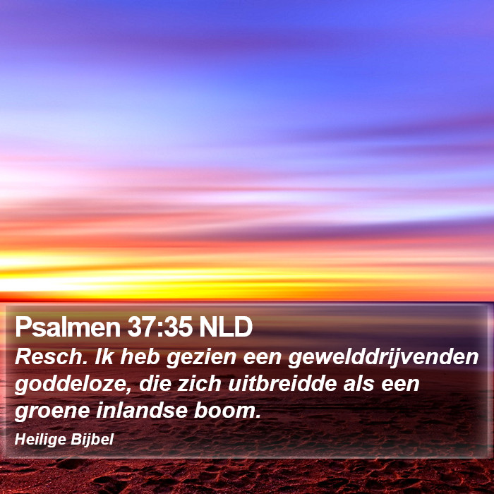 Psalmen 37:35 NLD Bible Study