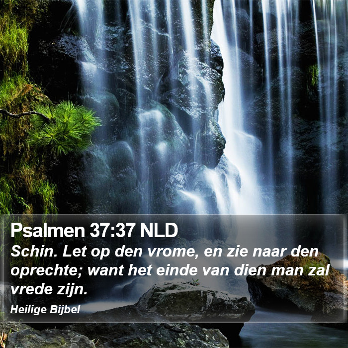Psalmen 37:37 NLD Bible Study