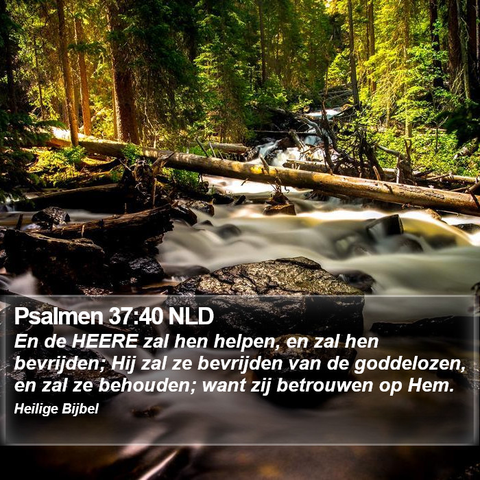 Psalmen 37:40 NLD Bible Study