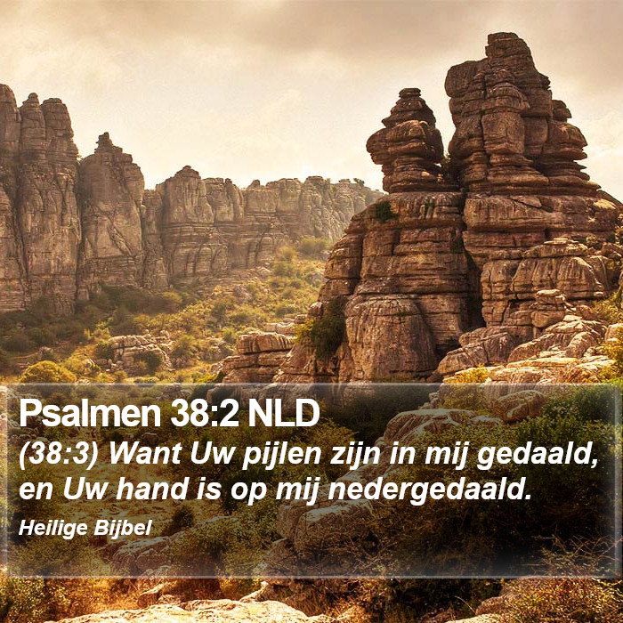 Psalmen 38:2 NLD Bible Study