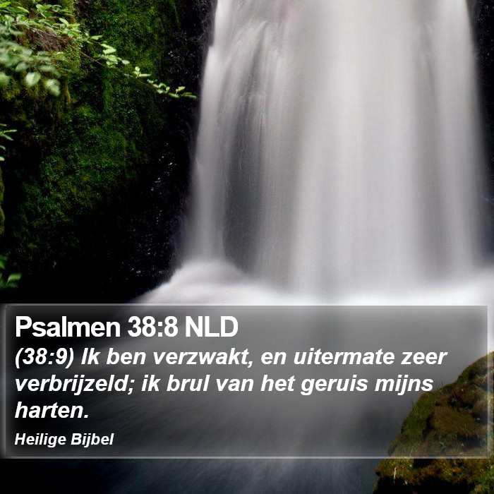 Psalmen 38:8 NLD Bible Study