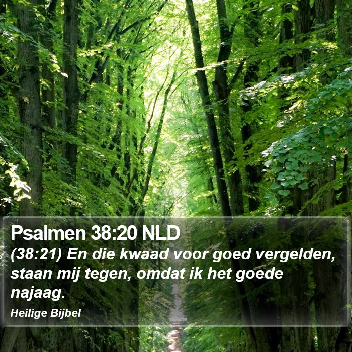 Psalmen 38:20 NLD Bible Study