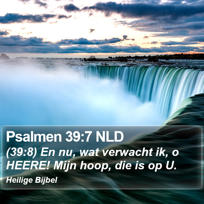 Psalmen 39:7 NLD Bible Study