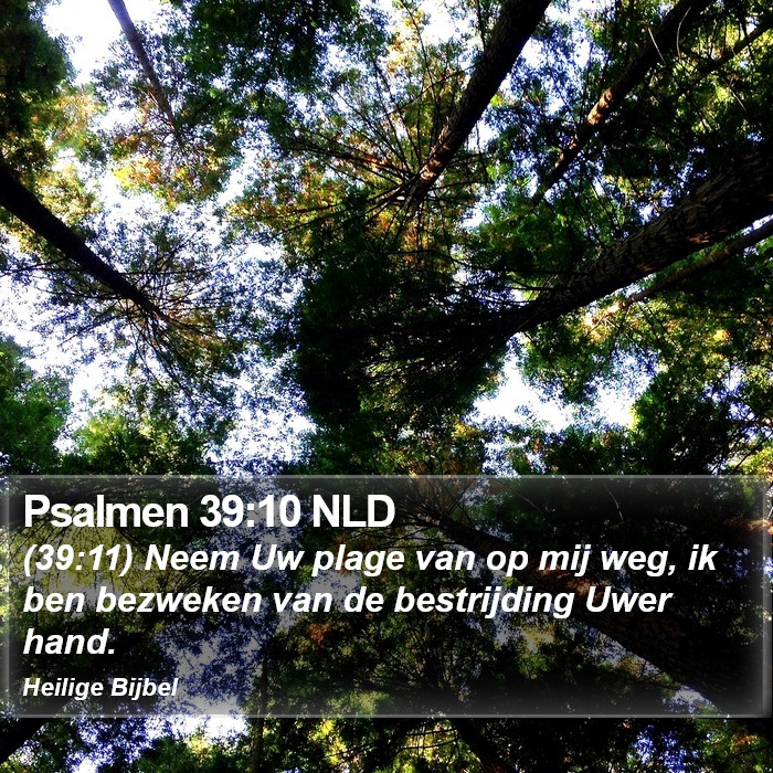 Psalmen 39:10 NLD Bible Study
