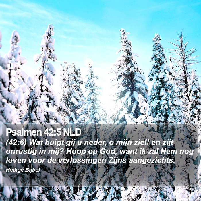 Psalmen 42:5 NLD Bible Study