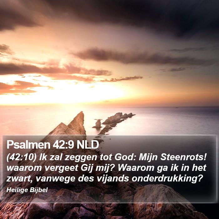 Psalmen 42:9 NLD Bible Study