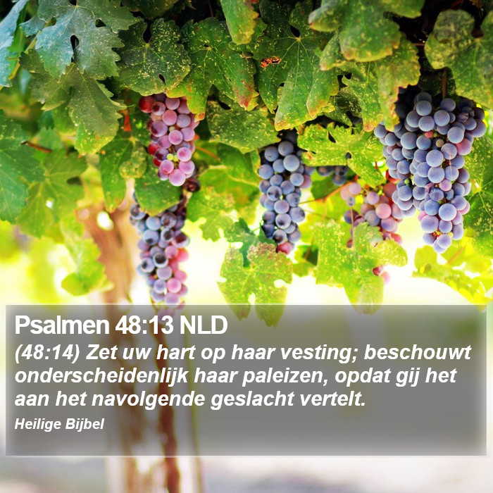 Psalmen 48:13 NLD Bible Study