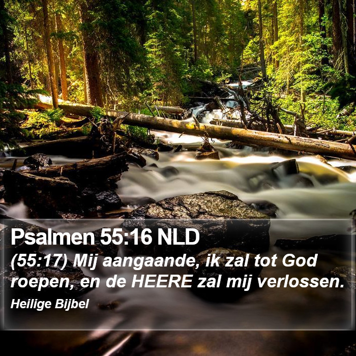 Psalmen 55:16 NLD Bible Study