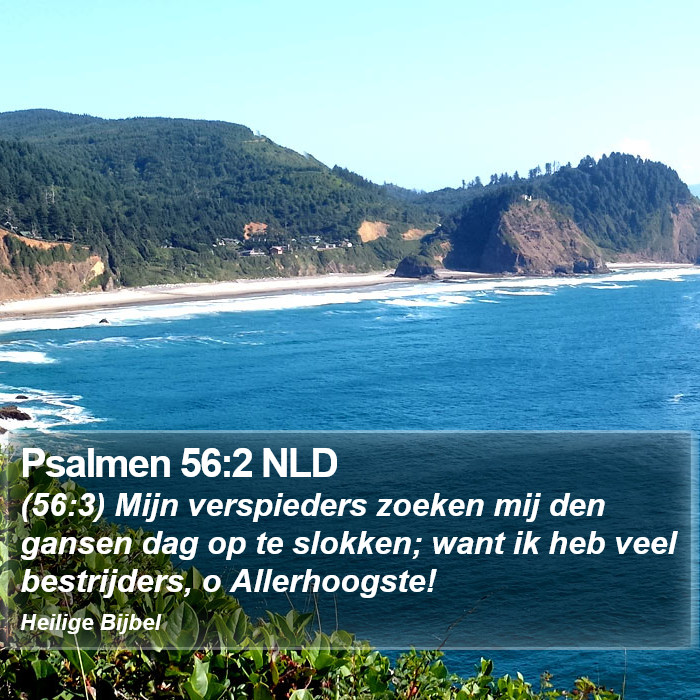 Psalmen 56:2 NLD Bible Study