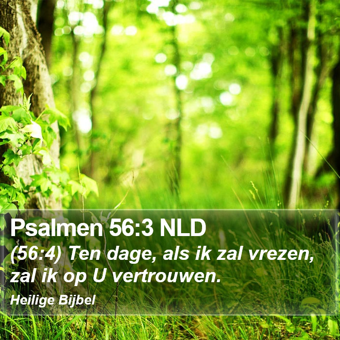 Psalmen 56:3 NLD Bible Study