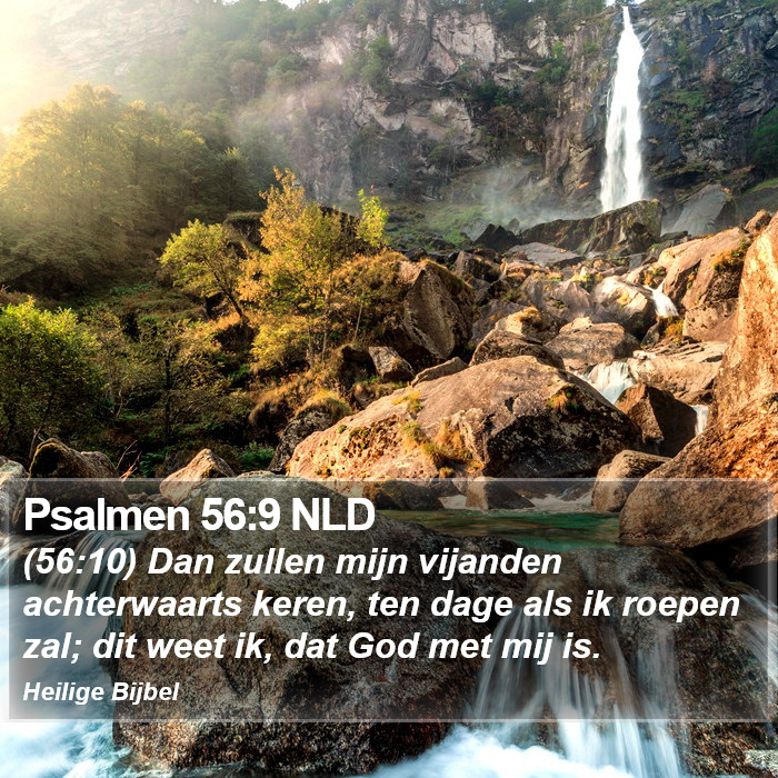 Psalmen 56:9 NLD Bible Study