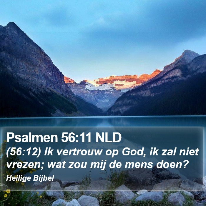 Psalmen 56:11 NLD Bible Study