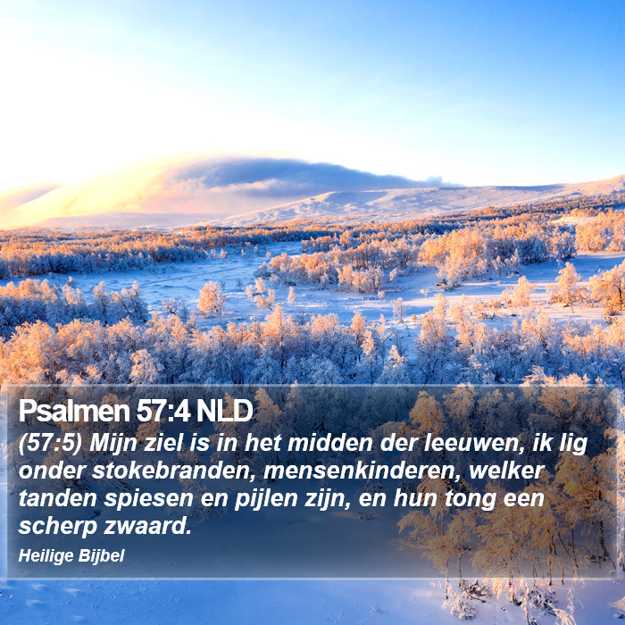 Psalmen 57:4 NLD Bible Study