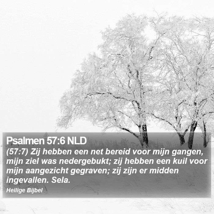 Psalmen 57:6 NLD Bible Study