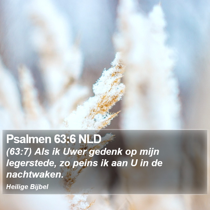 Psalmen 63:6 NLD Bible Study