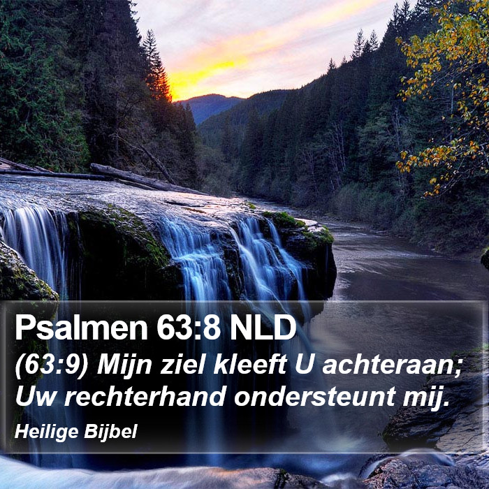 Psalmen 63:8 NLD Bible Study