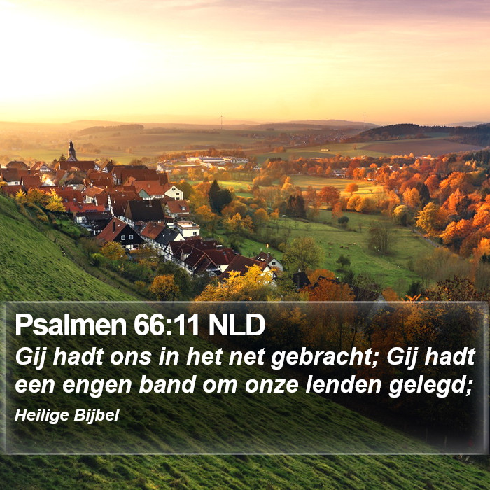 Psalmen 66:11 NLD Bible Study