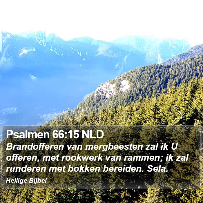 Psalmen 66:15 NLD Bible Study