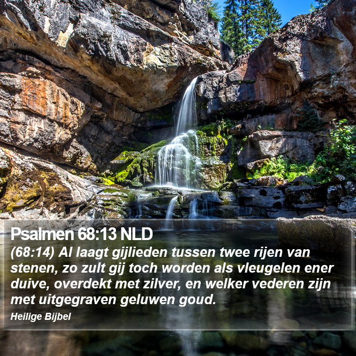 Psalmen 68:13 NLD Bible Study