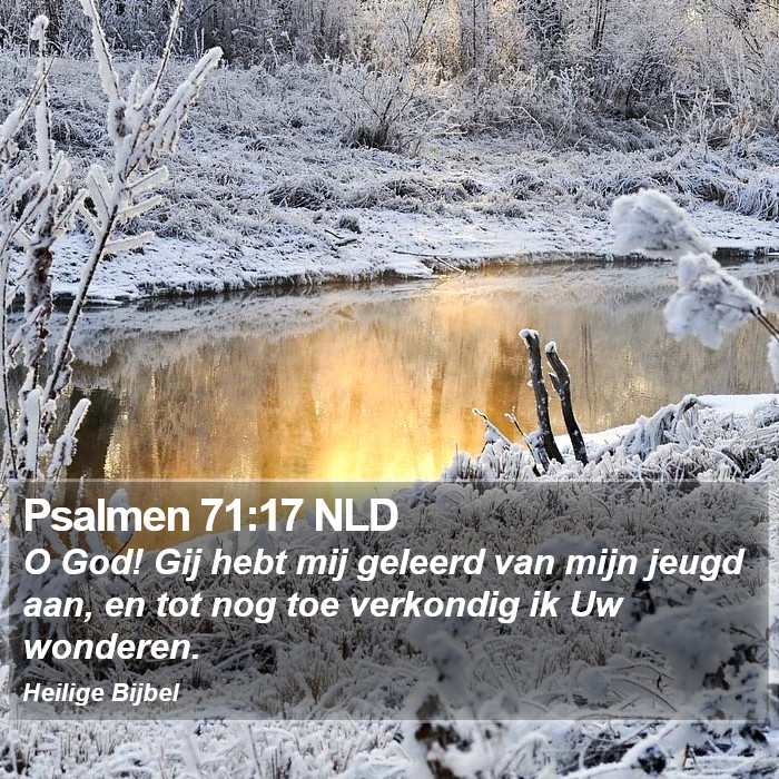 Psalmen 71:17 NLD Bible Study