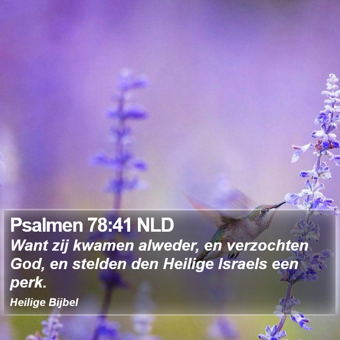 Psalmen 78:41 NLD Bible Study