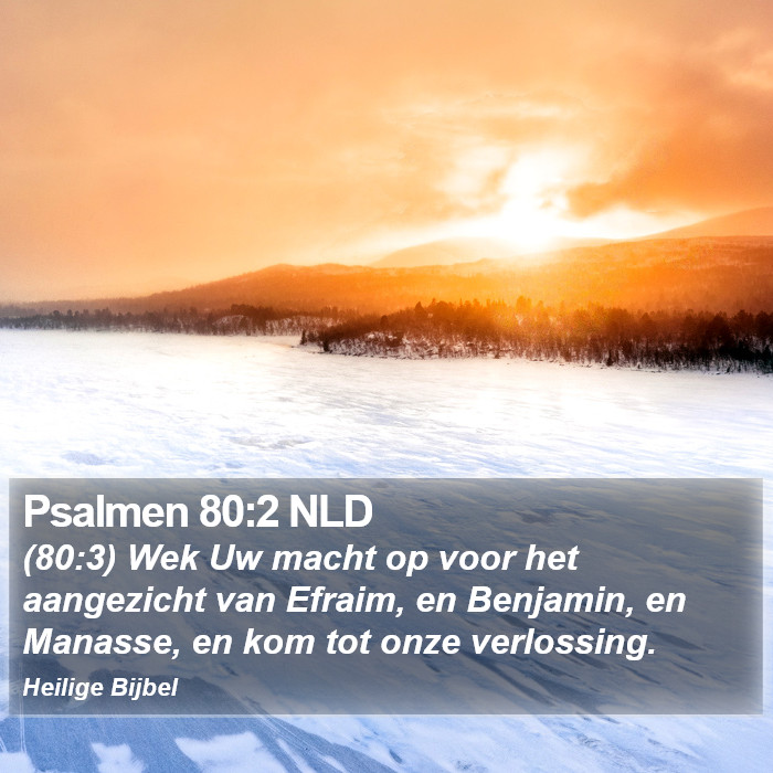 Psalmen 80:2 NLD Bible Study